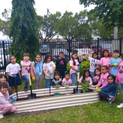 Comstock ES